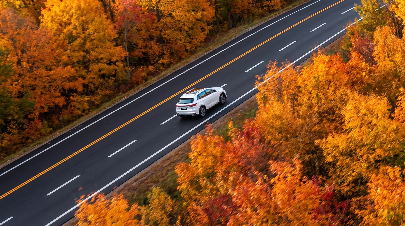 秋日森林公路上一辆白色 SUV 的俯拍